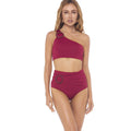 Conjunto Biquini Liso